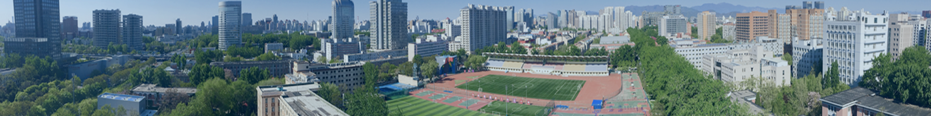 通知正文图片