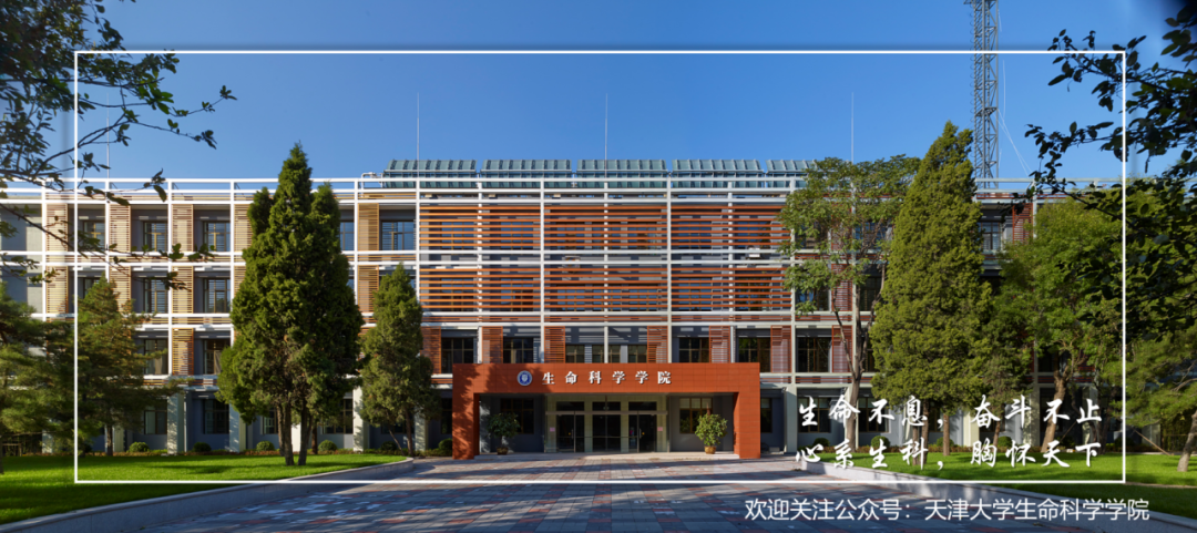 通知正文图片