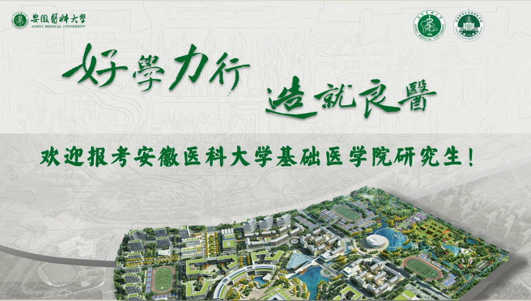通知正文图片