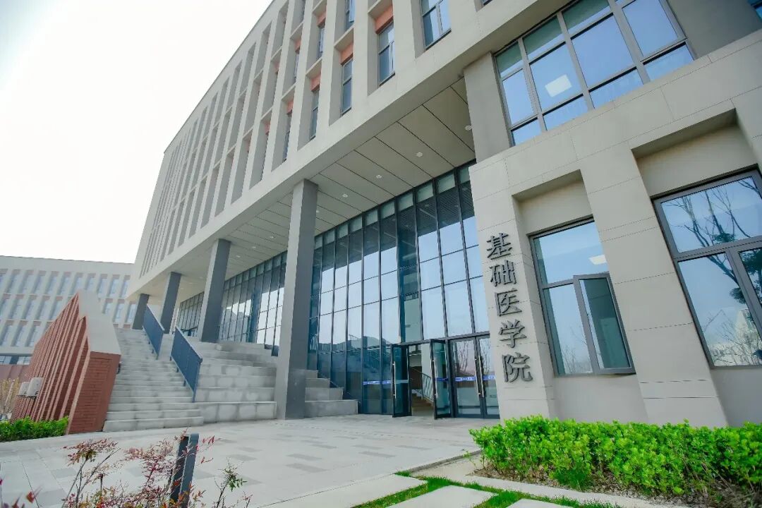通知正文图片