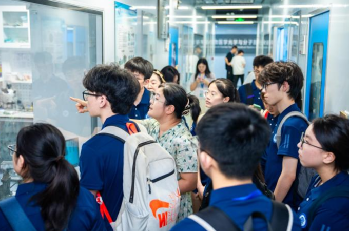 通知正文图片