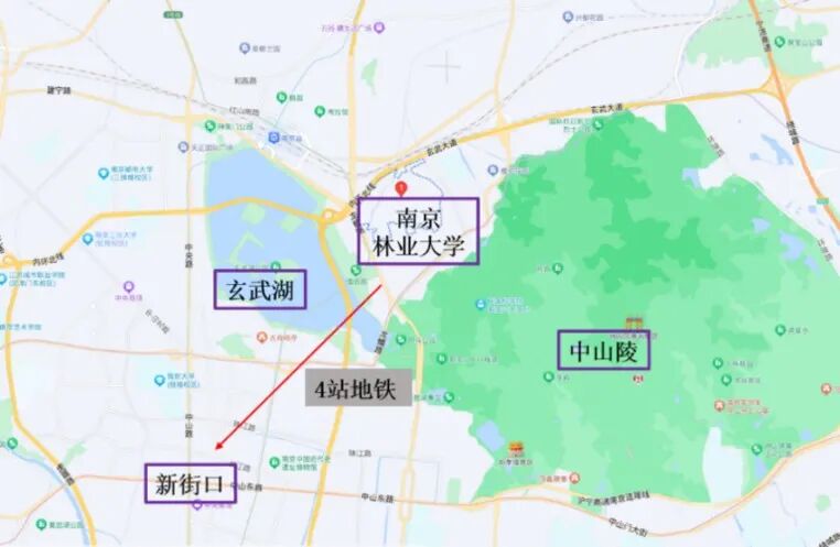 通知正文图片