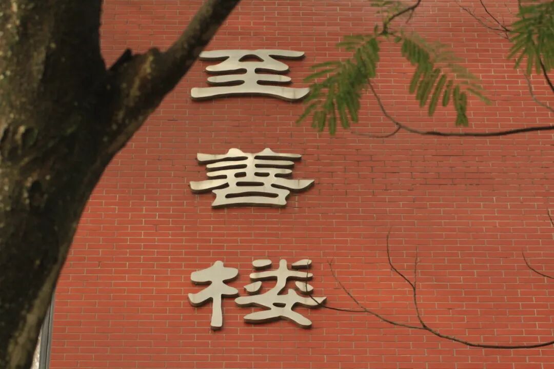 通知正文图片