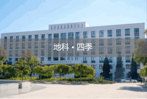 通知正文图片