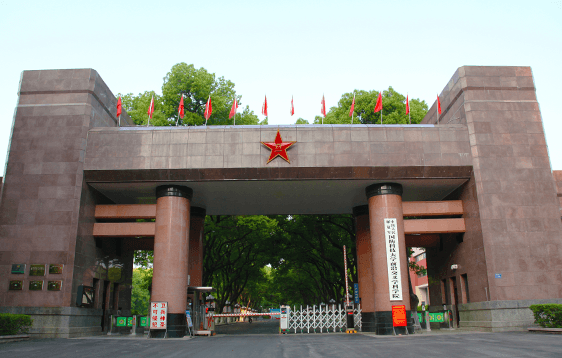 通知正文图片