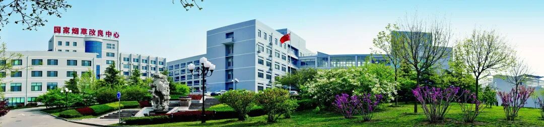 通知正文图片